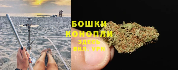 крисы Баксан