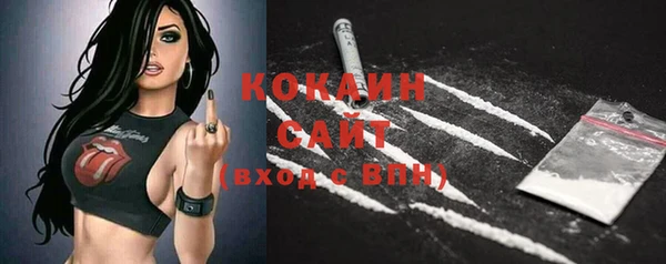 крисы Баксан