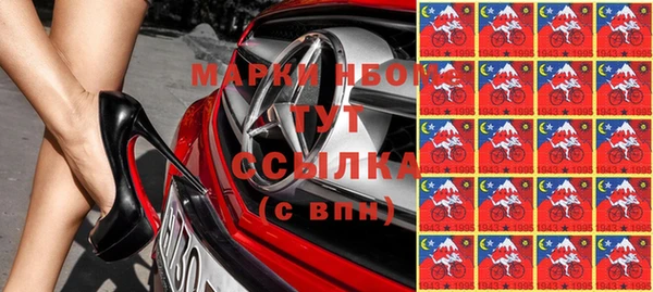крисы Баксан