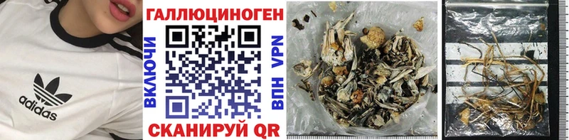 Псилоцибиновые грибы мицелий  Купить где  Высоковск 